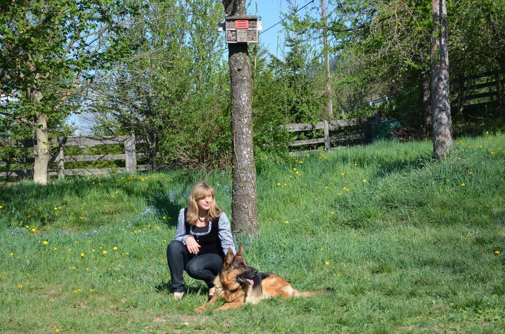 Pension Zum Schreiner Hermagor-Pressegger See Esterno foto